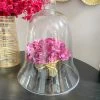 Inspire Me! Home Decor Oversized Glass Bell Cloche