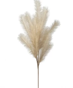 Inspire Me! Home Decor 47" Cream Feather Pampas Stem PRE-ORDER Floral Stems
