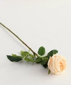 Inspire Me! Home Decor Real Touch Austin Rose (4 Colors) Floral Stems 48 Inspire Me! Home Decor Real Touch Austin Rose (4 Colors) Floral Stems