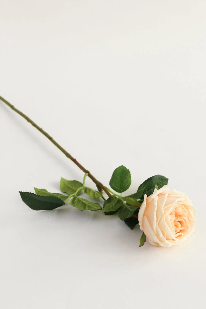 Inspire Me! Home Decor Real Touch Austin Rose (4 Colors) Floral Stems 24 Inspire Me! Home Decor Real Touch Austin Rose (4 Colors) Floral Stems