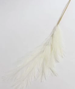 Inspire Me! Home Decor Light Feathered Pampa Grass Stem (4 Colors) Floral Stems