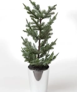 Inspire Me! Home Decor Potted Pine Tree (3 Styles)