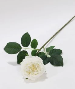 Inspire Me! Home Decor Real Touch Austin Rose (4 Colors) Floral Stems 51 Inspire Me! Home Decor Real Touch Austin Rose (4 Colors) Floral Stems