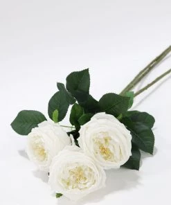 Inspire Me! Home Decor Real Touch Austin Rose (4 Colors) Floral Stems 50 Inspire Me! Home Decor Real Touch Austin Rose (4 Colors) Floral Stems