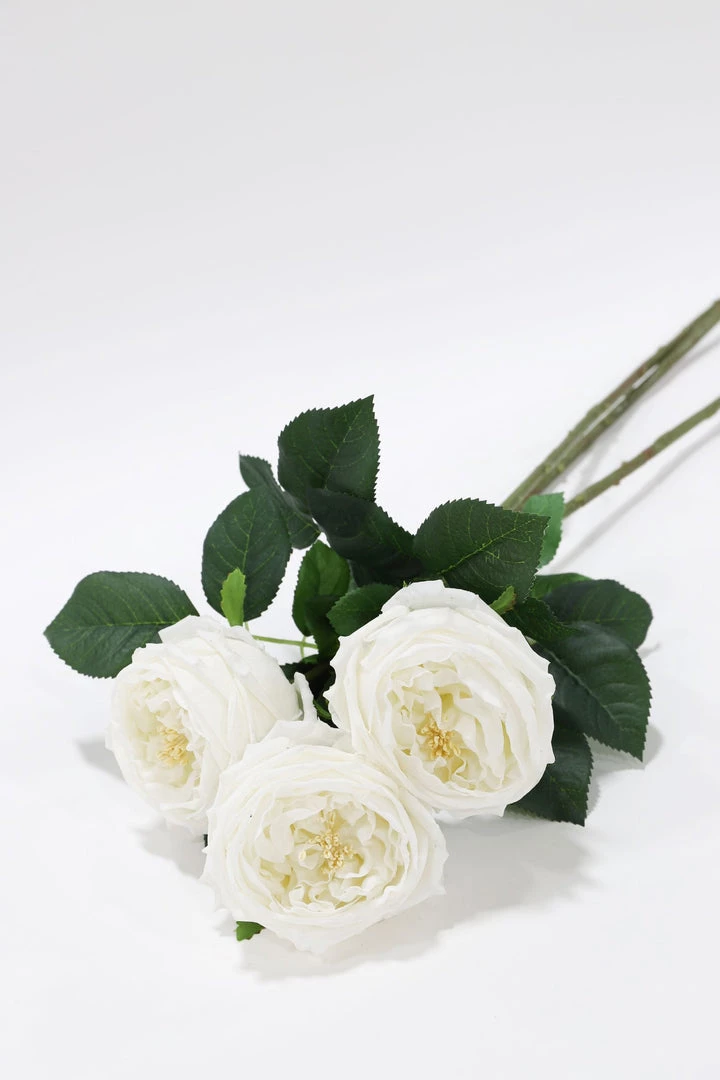 Inspire Me! Home Decor Real Touch Austin Rose (4 Colors) Floral Stems 26 Inspire Me! Home Decor Real Touch Austin Rose (4 Colors) Floral Stems