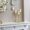 Inspire Me! Home Decor Gold Bead Detailed Candleholder (3 Sizes)