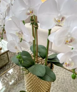 Inspire Me! Home Decor White Orchid In Gold Detailed Pot