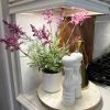 Inspire Me! Home Decor Lavender In White Vase