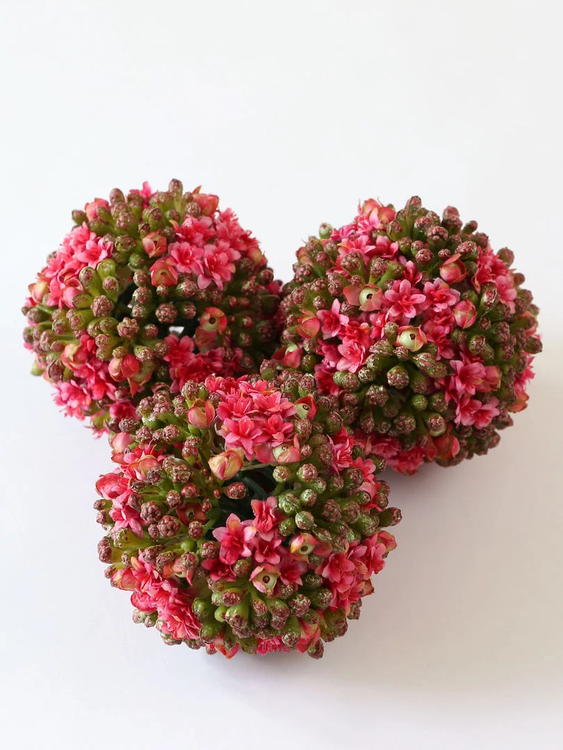 Inspire Me! Home Decor Floral Kalanchoe Orb (3 Colors) 18 Inspire Me! Home Decor Floral Kalanchoe Orb (3 Colors)