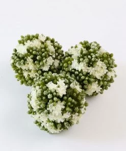 Inspire Me! Home Decor Floral Kalanchoe Orb (3 Colors) 32 Inspire Me! Home Decor Floral Kalanchoe Orb (3 Colors)