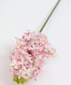 Inspire Me! Home Decor 19.5