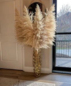 Inspire Me! Home Decor Natural Pampas Grass