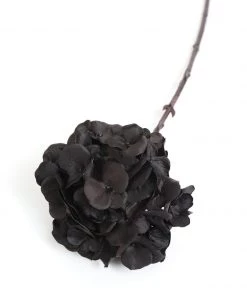 Inspire Me! Home Decor Black Hydrangea Stem