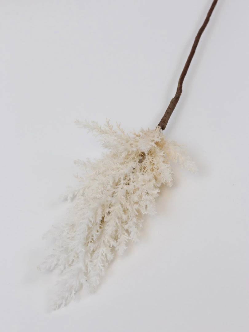 Inspire Me! Home Decor White Pampa Stem 4 Inspire Me! Home Decor White Pampa Stem