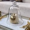 Inspire Me! Home Decor Glass Bell Cloche ( Glass Dome )