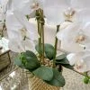 Inspire Me! Home Decor Golden Pebble Stone Vase Filler