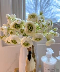 Inspire Me! Home Decor Mini Cream Ranunculus Bundle