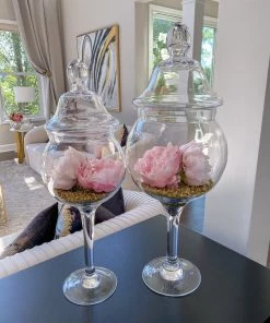 Inspire Me! Home Decor Glass Stem Jar Bundle Set BUNDLE DEALS