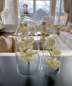 Inspire Me! Home Decor Glass Cloche (2 Sizes)