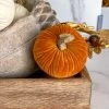 Inspire Me! Home Decor Mini Velvet Orange Decorative Pumpkin