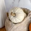 Inspire Me! Home Decor Mini Cream Velvet Decorative Pumpkin