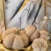 Inspire Me! Home Decor SEASONAL Beige Fringe Pumpkin (3 Sizes) 2 Inspire Me! Home Decor SEASONAL Beige Fringe Pumpkin (3 Sizes)